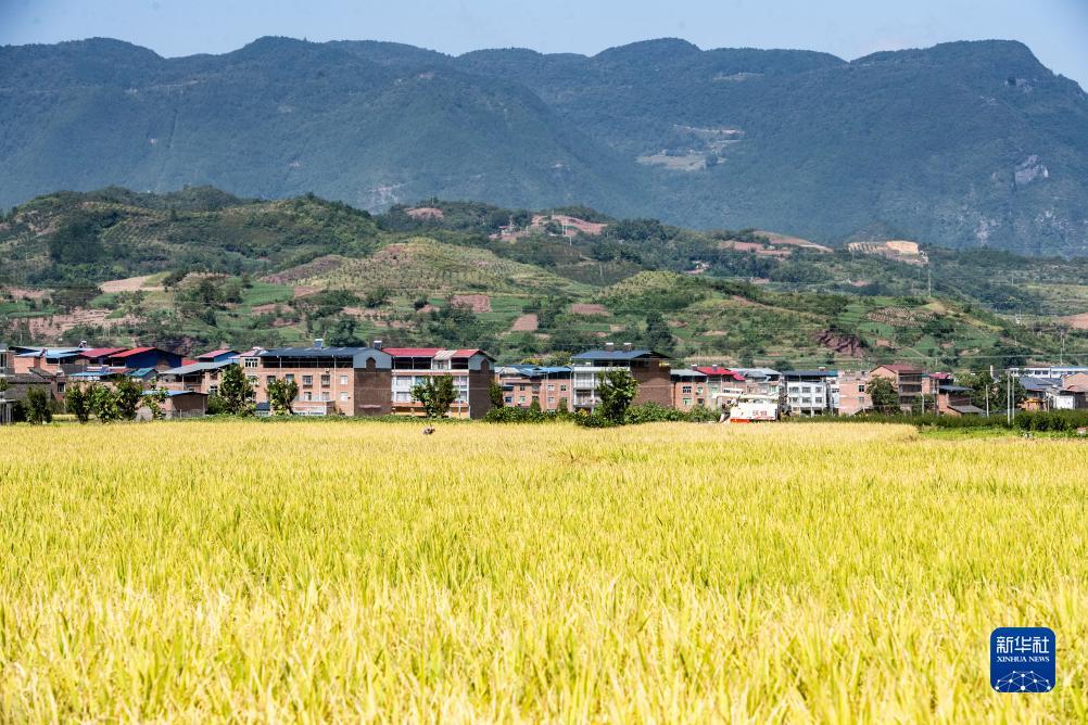 mg游戏下载